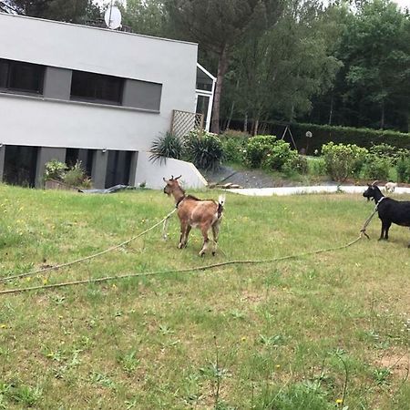 Villa L'Hetre Saint-Sébastien-sur-Loire Esterno foto